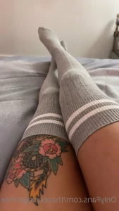 2650372