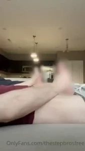 18279831