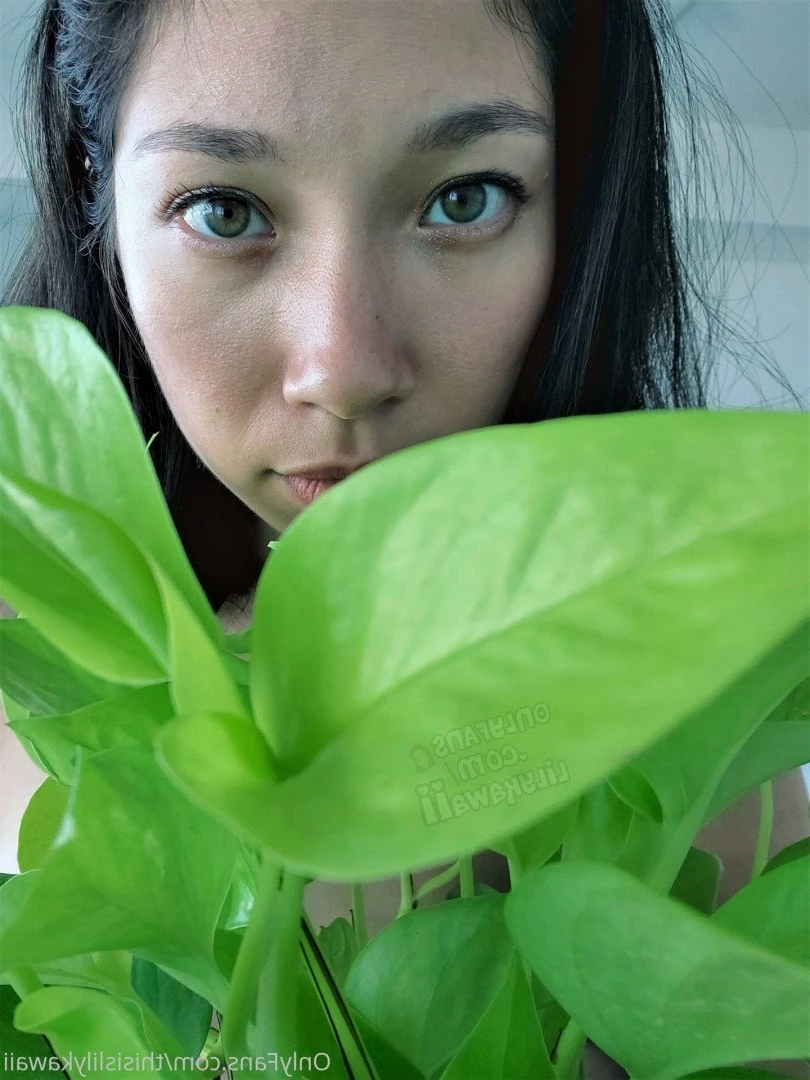 Lily Kawaii 🆓 [ thisislilykawaii ] Onlyfans leaked photo 2898525 on Hotleaks.tv
