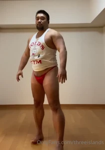 4941729
