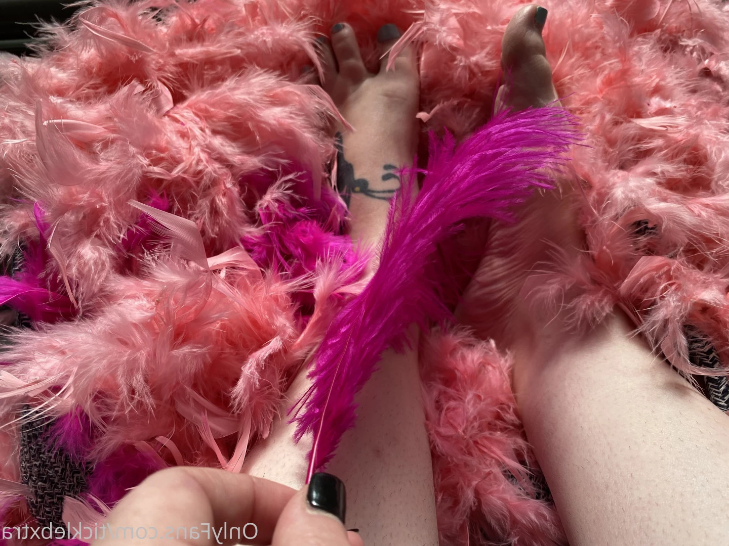 Tickle B Xtra [ ticklebxtra ] Onlyfans leaked photo 6193602 on Hotleaks.tv