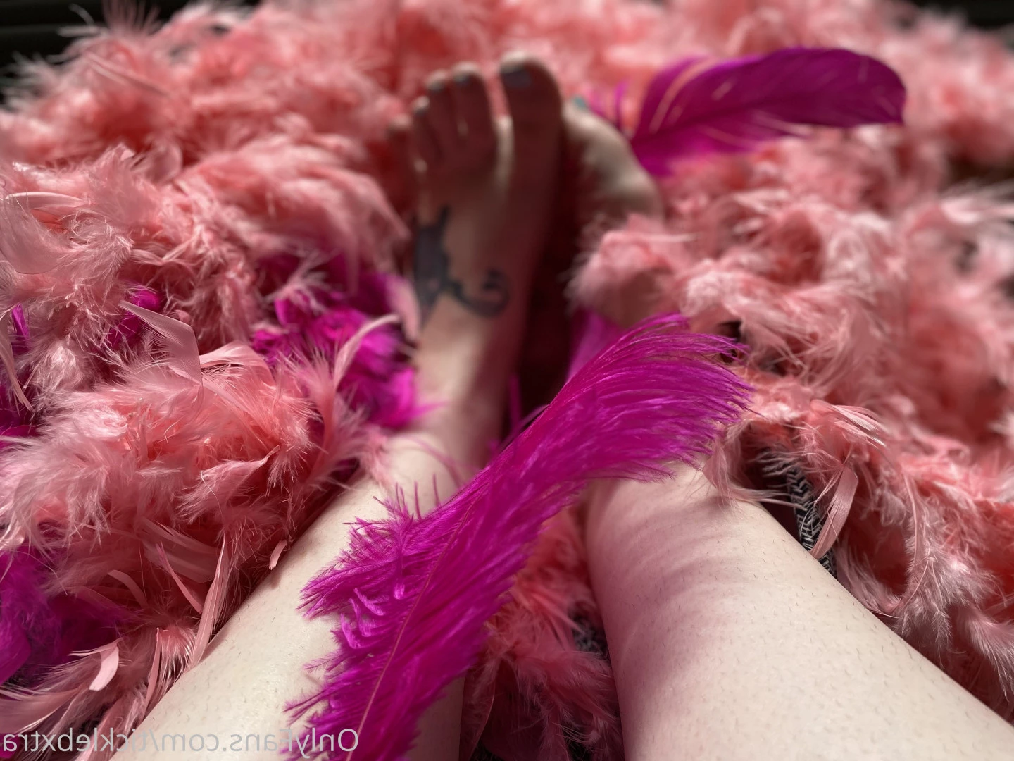 Tickle B Xtra [ ticklebxtra ] Onlyfans leaked photo 6193619 on Hotleaks.tv