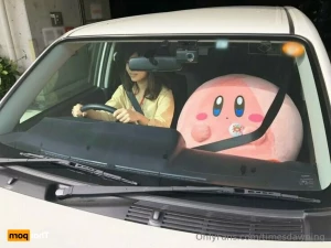16087291