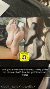 13043555