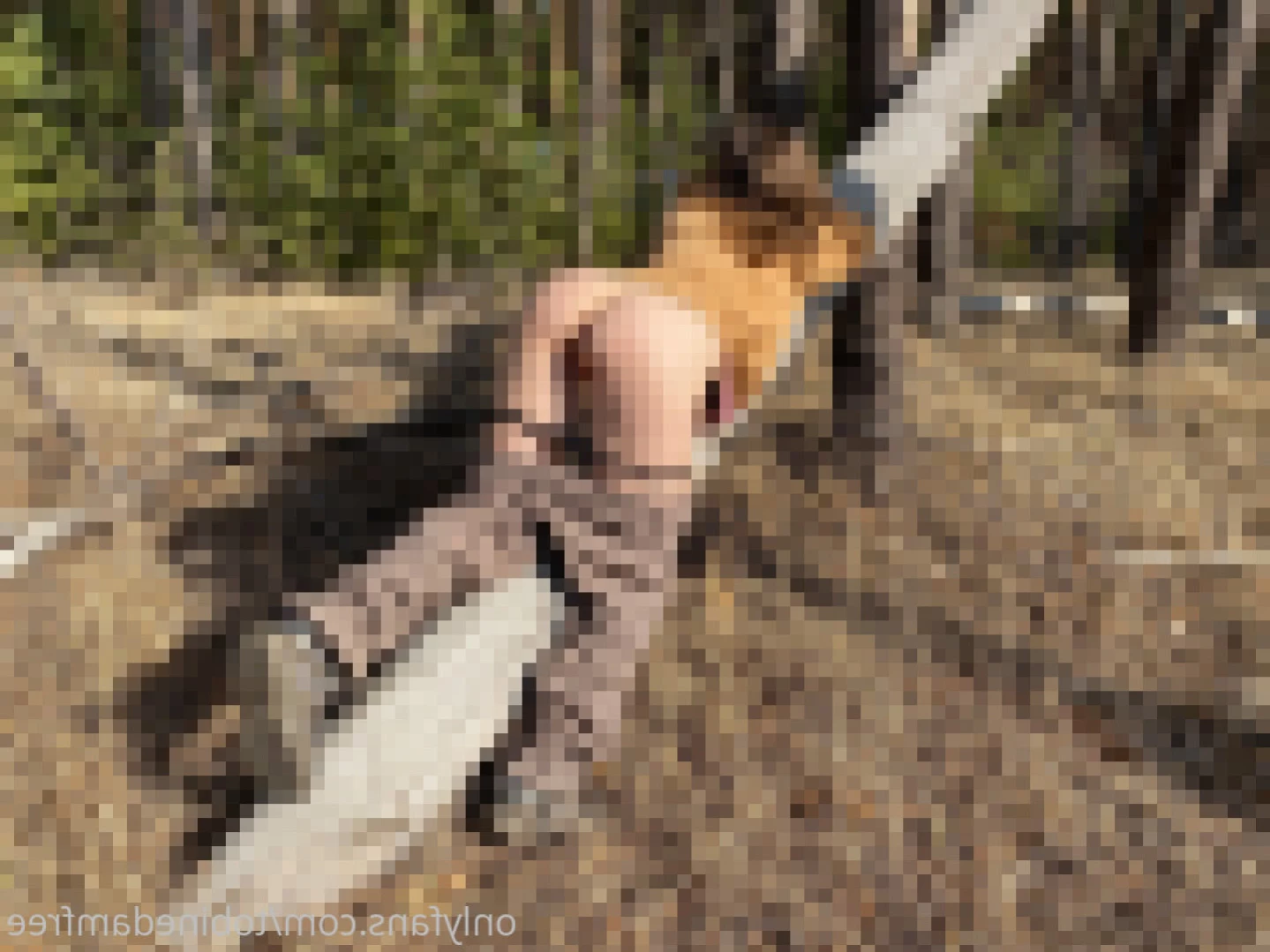 tobinedamfree Onlyfans leaked photo 14208904 on Hotleaks.tv