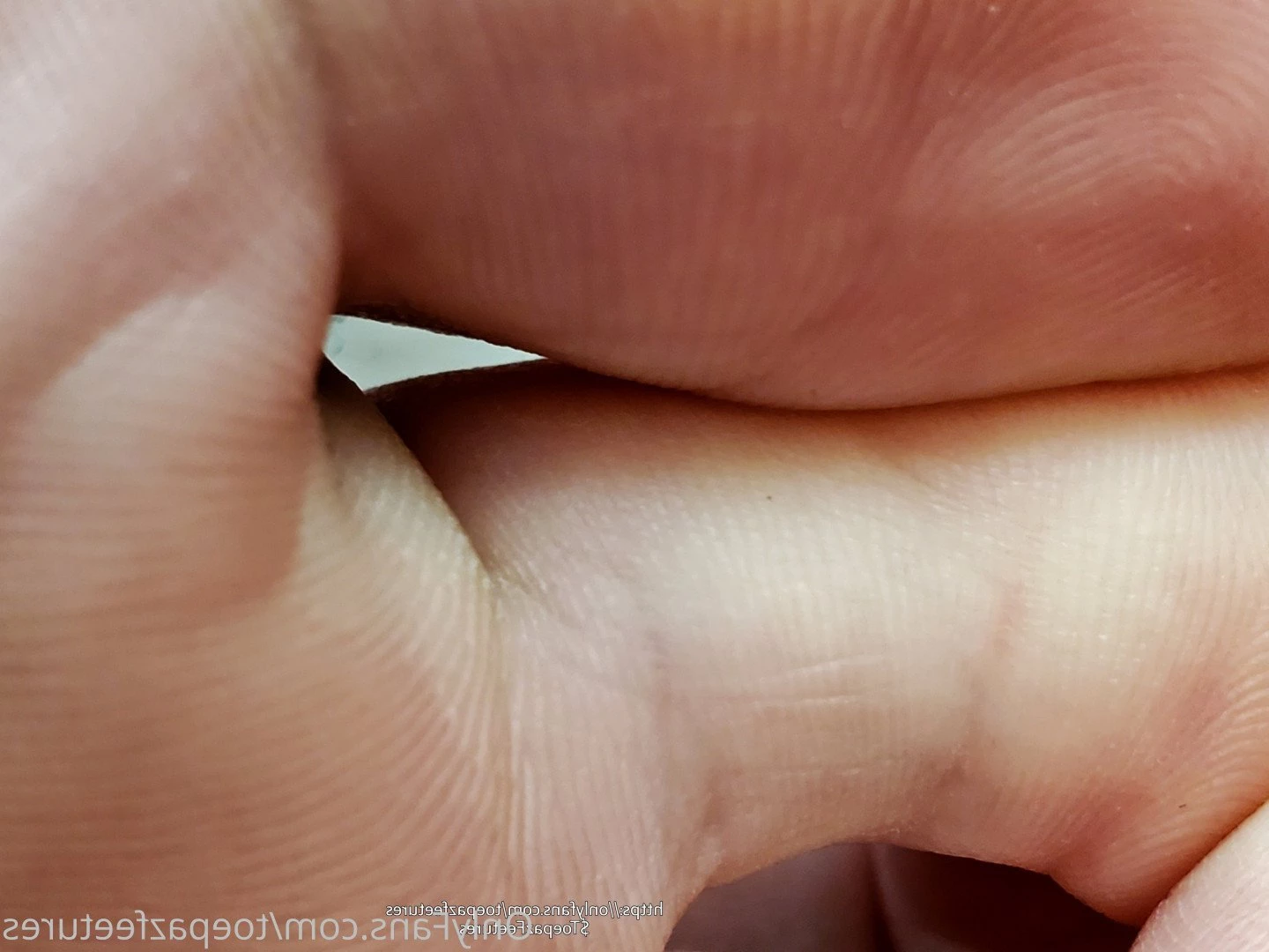 toepazfeetures Onlyfans leaked photo 2641916 on Hotleaks.tv