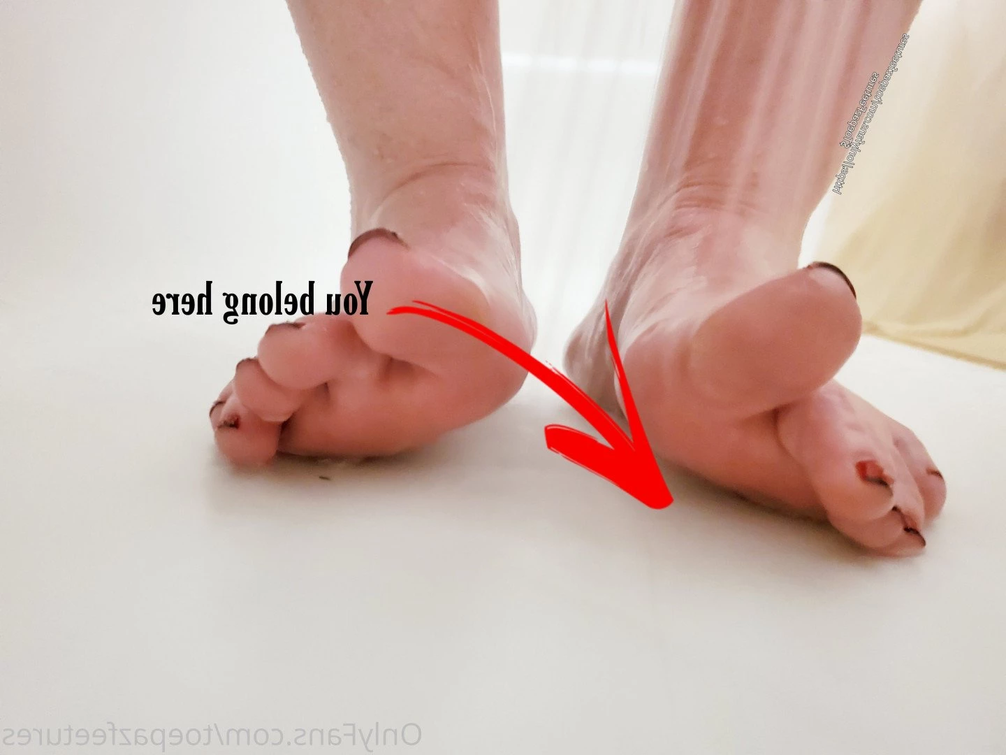toepazfeetures Onlyfans leaked photo 2643844 on Hotleaks.tv