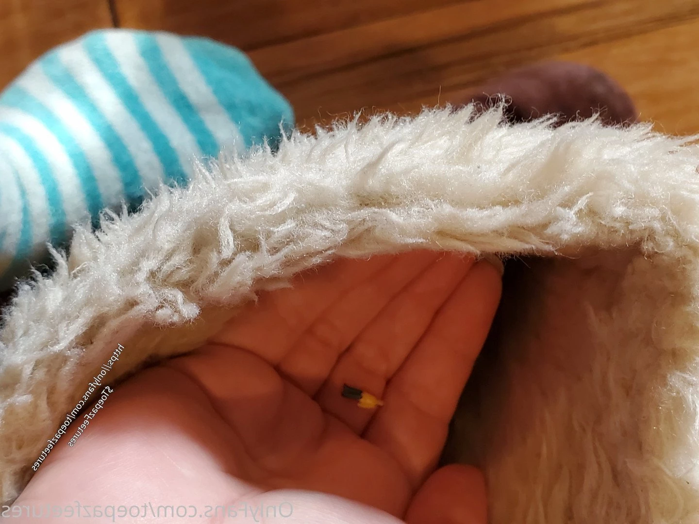 toepazfeetures Onlyfans leaked photo 2645496 on Hotleaks.tv