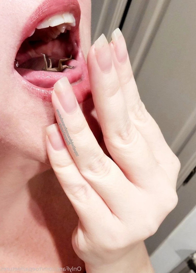 toepazfeetures Onlyfans leaked photo 2646762 on Hotleaks.tv