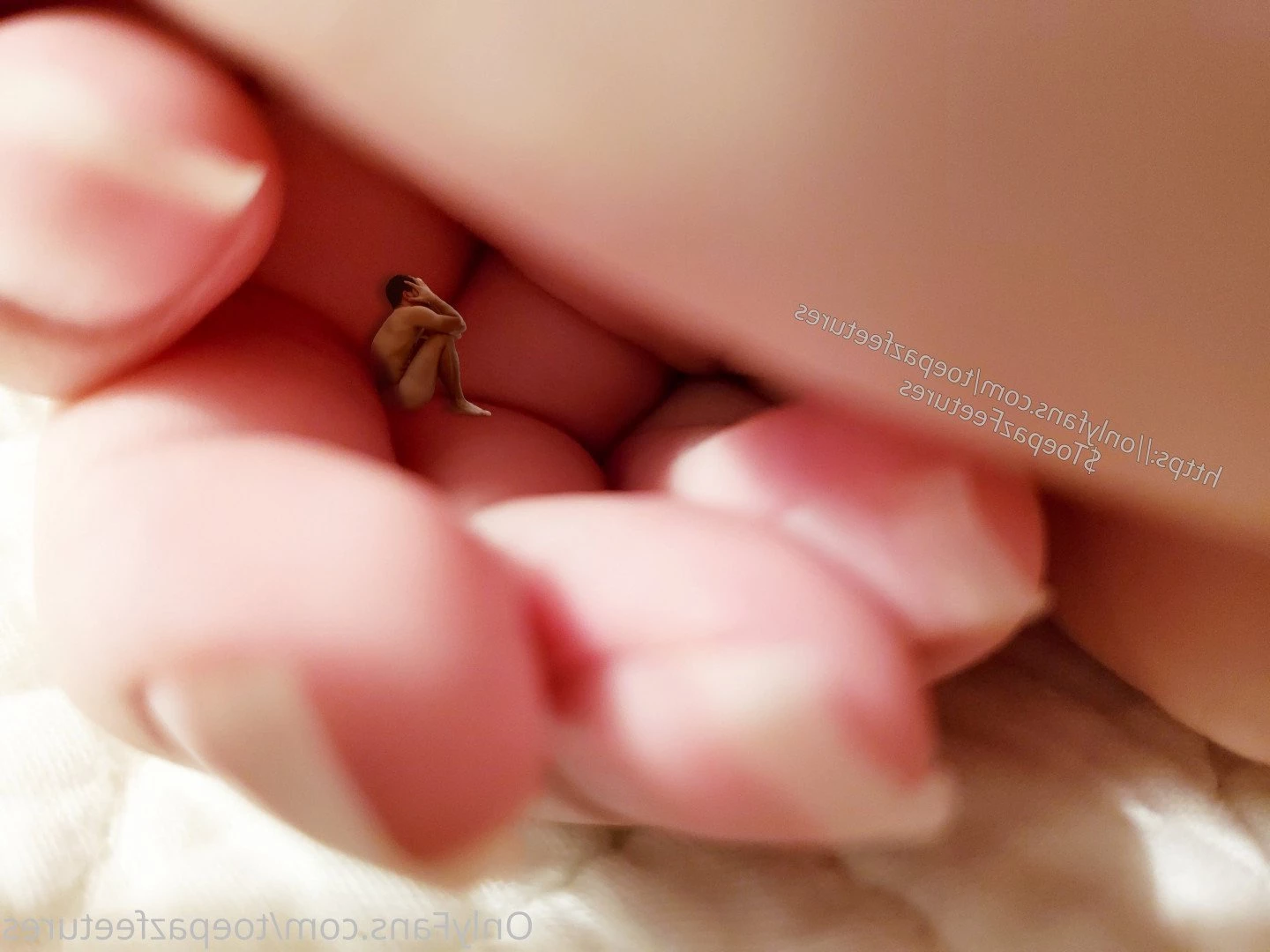 toepazfeetures Onlyfans leaked photo 2647806 on Hotleaks.tv