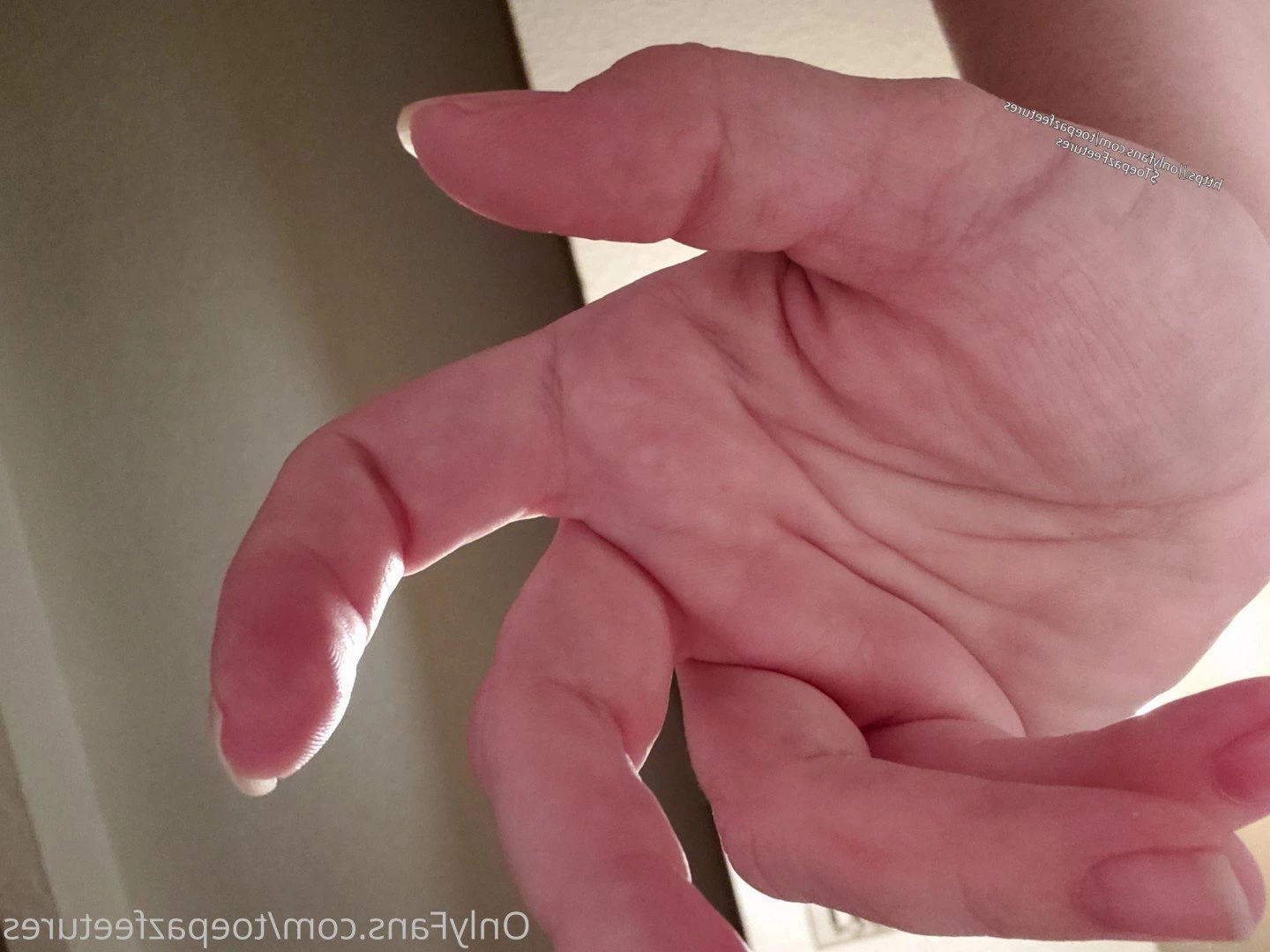 toepazfeetures Onlyfans leaked photo 2648017 on Hotleaks.tv