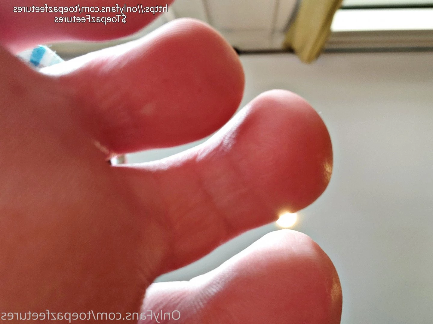 toepazfeetures Onlyfans leaked photo 2648030 on Hotleaks.tv