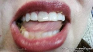 4606334