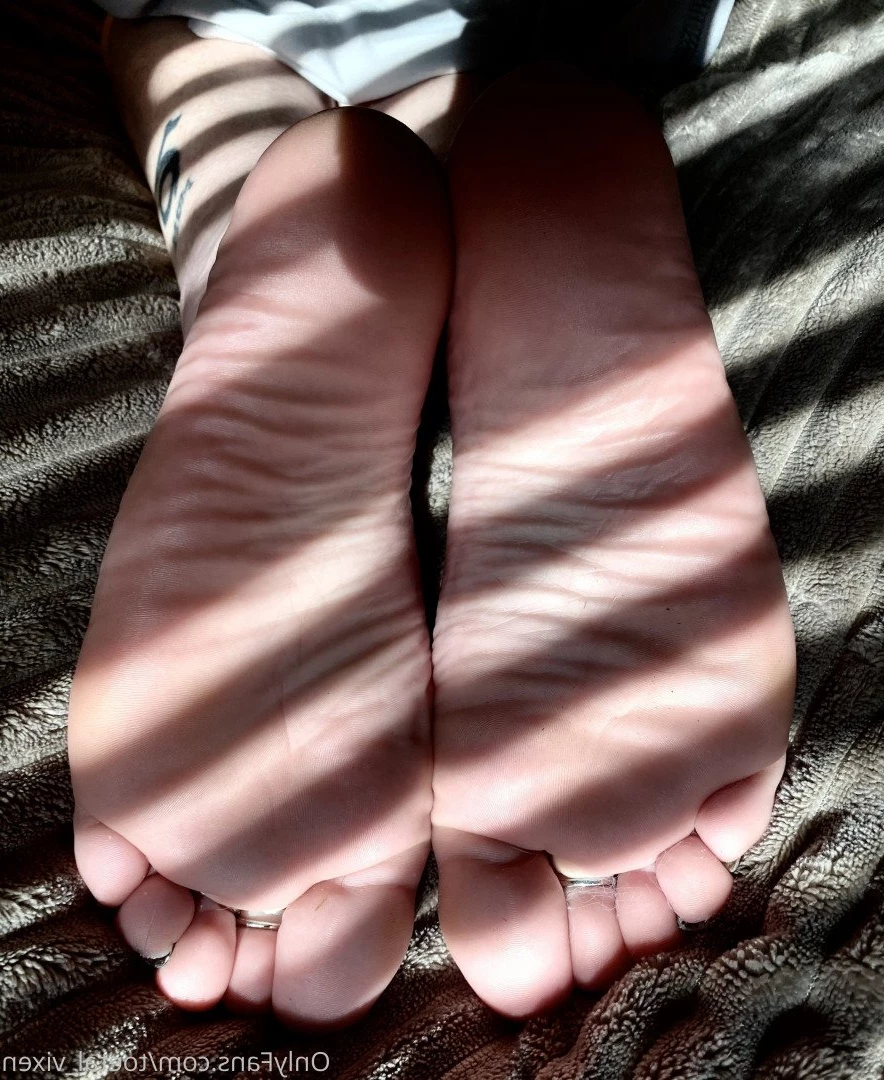 toetal_vixen Onlyfans leaked photo 2620853 on Hotleaks.tv