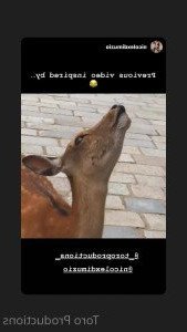 Toro [ torothecreator ] Onlyfans leaked video 4607225 on Hotleaks.tv