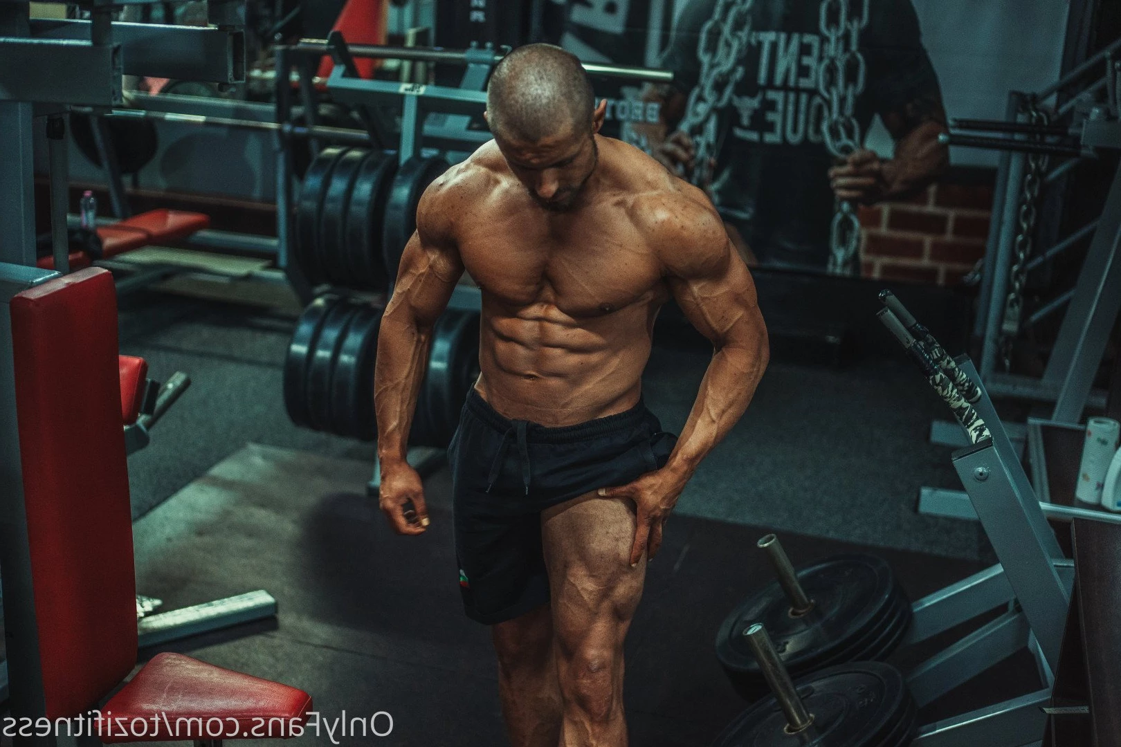 Chad Muscle😈 Top 3.3% [ tozifitness ] Onlyfans leaked photo 2895320 on Hotleaks.tv