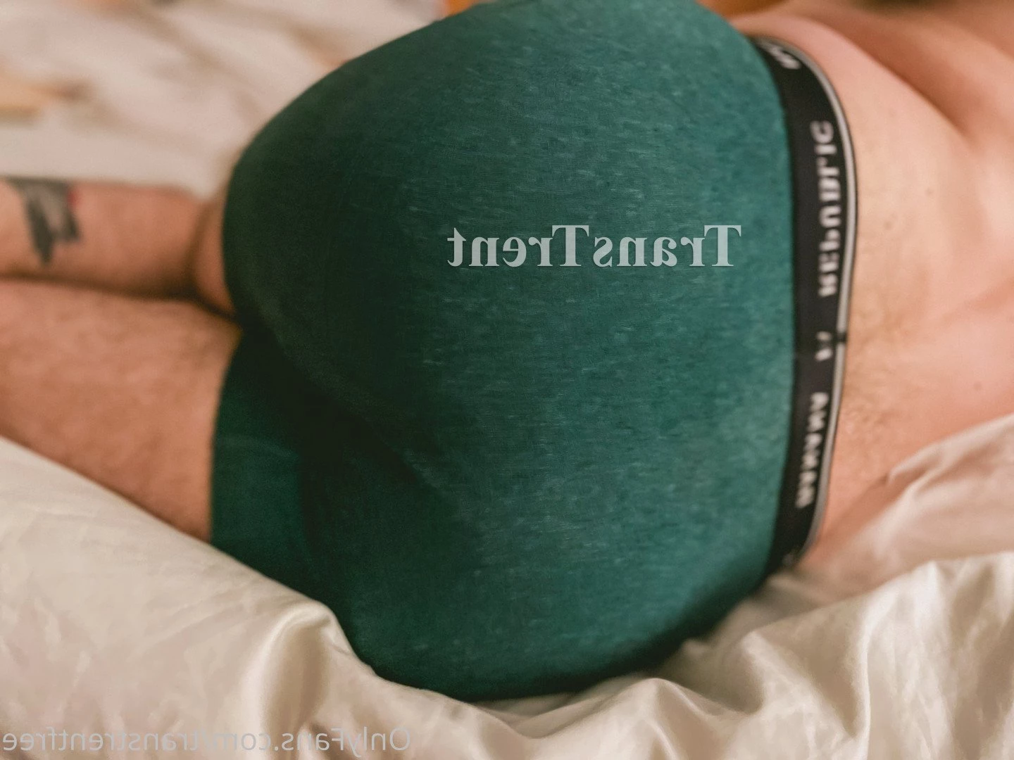 Trans Trent FTM Free [ transtrentfree ] Onlyfans leaked photo 2713004 on Hotleaks.tv