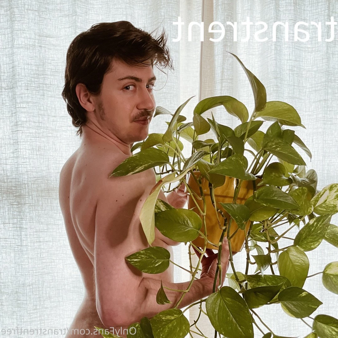 Trans Trent FTM Free [ transtrentfree ] Onlyfans leaked photo 2713135 on Hotleaks.tv