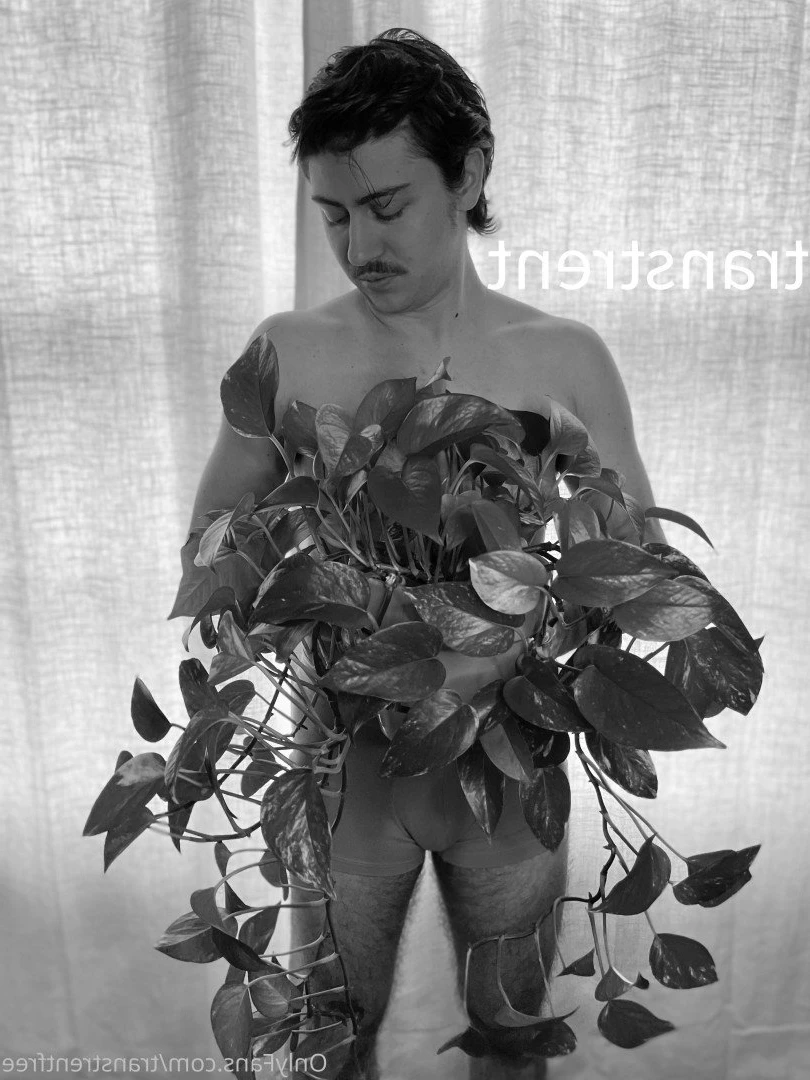 Trans Trent FTM Free [ transtrentfree ] Onlyfans leaked photo 2715278 on Hotleaks.tv