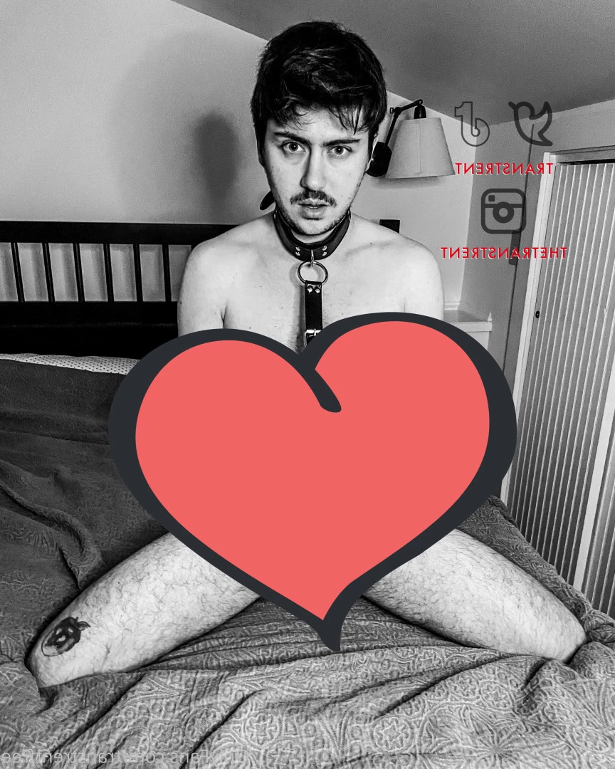 Trans Trent FTM Free [ transtrentfree ] Onlyfans leaked photo 6026884 on Hotleaks.tv