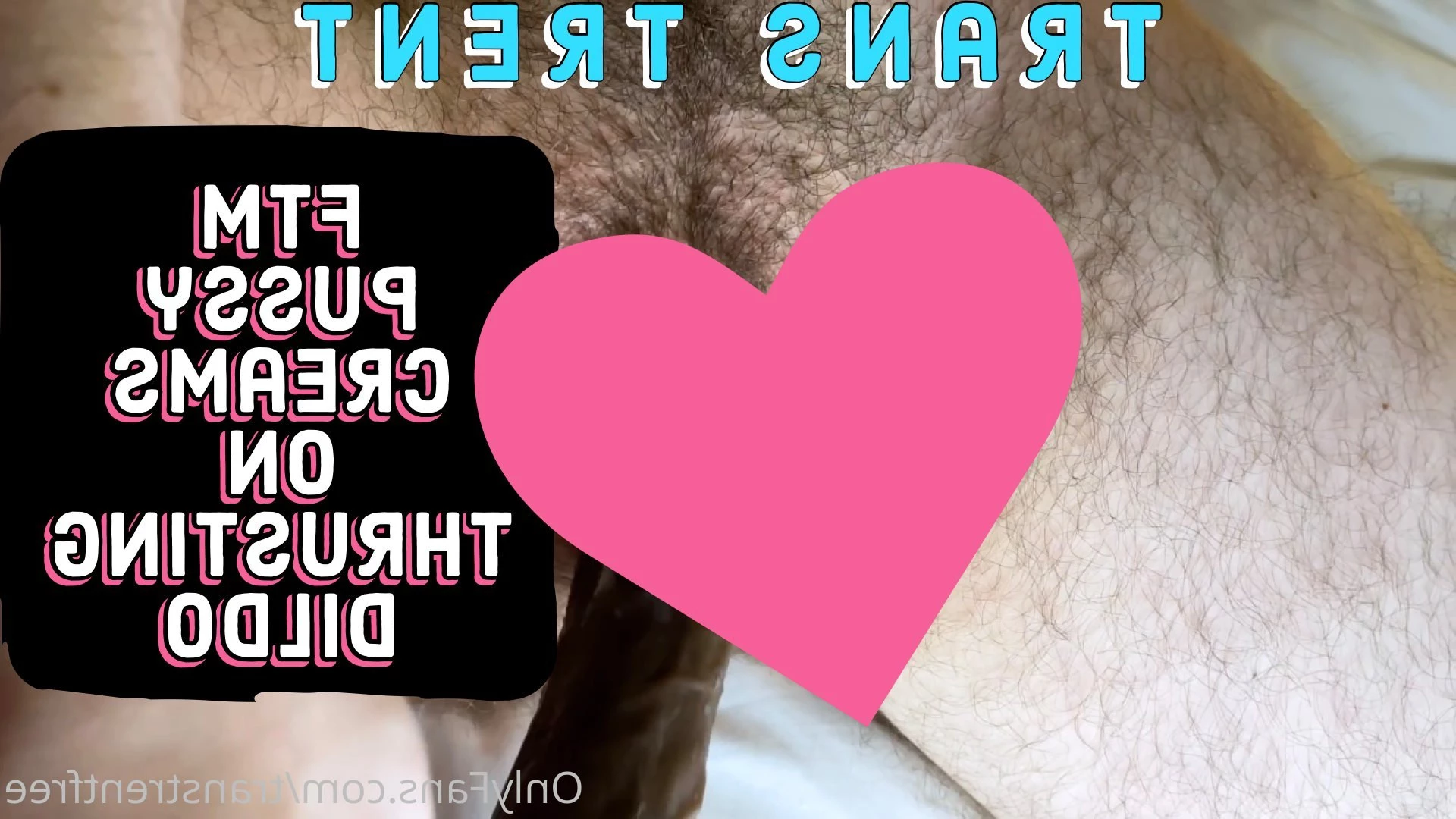 Trans Trent FTM Free [ transtrentfree ] Onlyfans leaked photo 6028095 on Hotleaks.tv