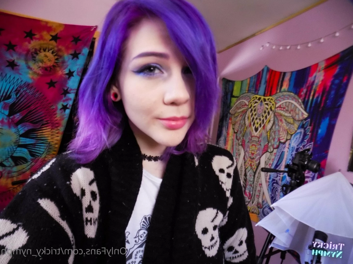 𝓒𝓪𝓼𝓼𝓲𝓮 (Tricky Nymph) [ tricky_nymph ] Onlyfans leaked photo 2629128 on Hotleaks.tv