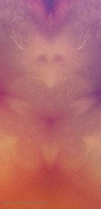 𝓒𝓪𝓼𝓼𝓲𝓮 (Tricky Nymph) [ tricky_nymph ] Onlyfans leaked video 4607932 on Hotleaks.tv