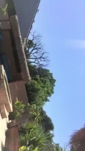 18278649