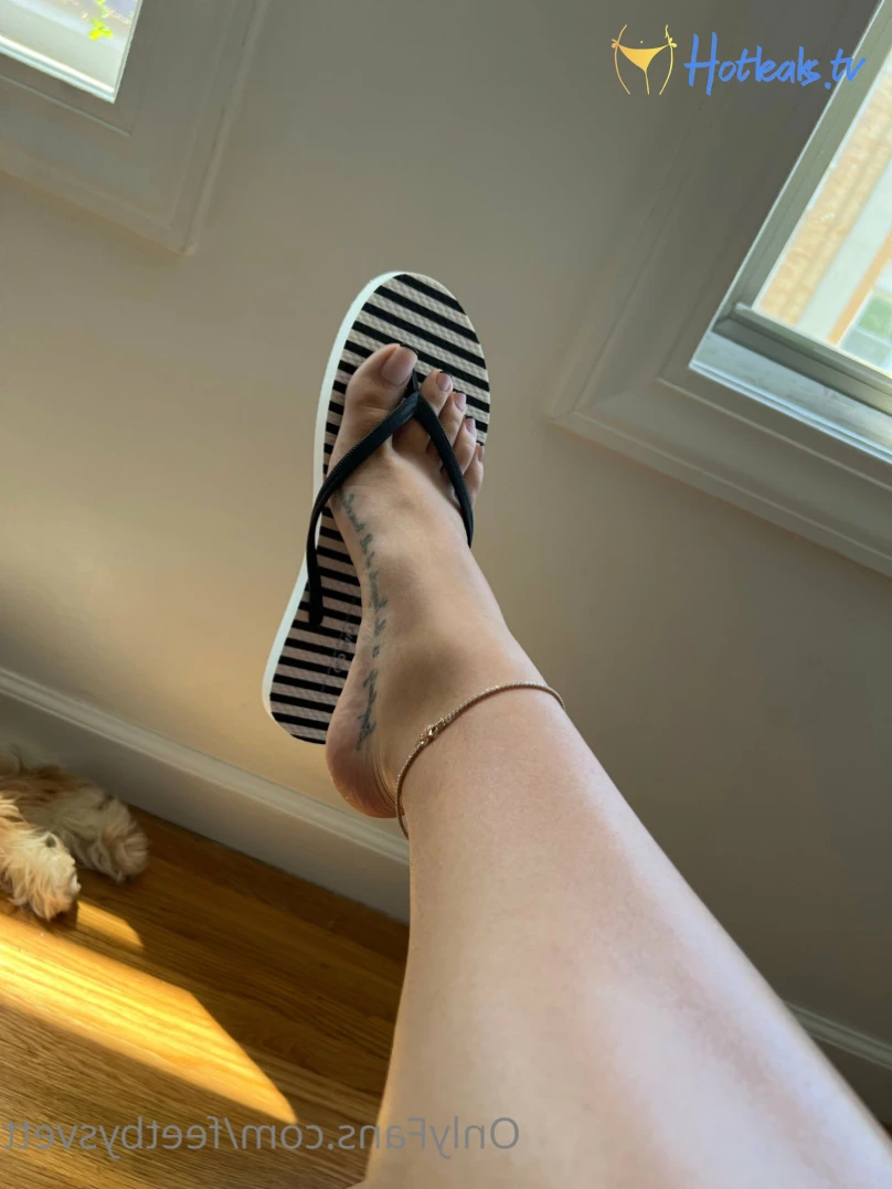 feetbysvett Onlyfans leaked photo 12527838 on Hotleaks.tv