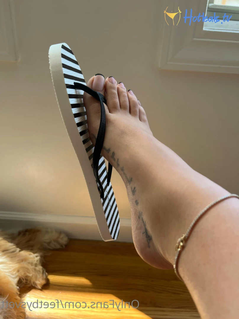 feetbysvett Onlyfans leaked photo 13921375 on Hotleaks.tv