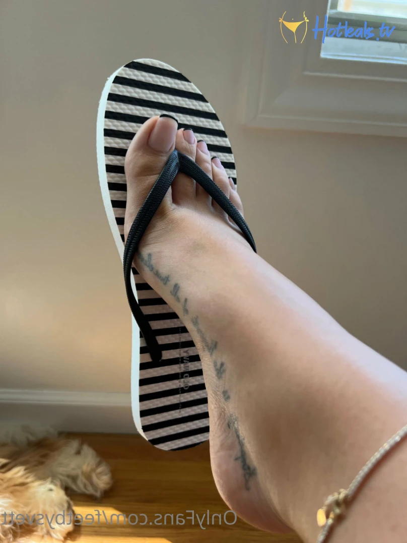 feetbysvett Onlyfans leaked photo 15846336 on Hotleaks.tv