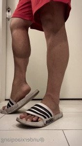 4611523