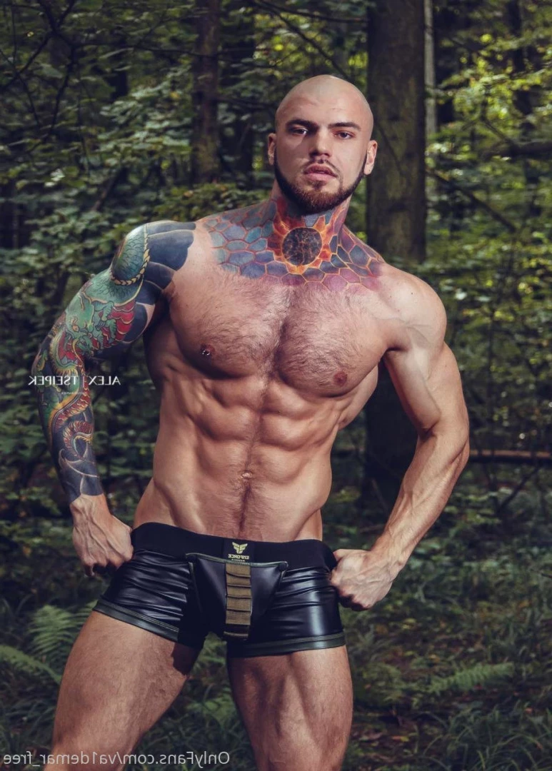 Valdemar Santana [ va1demar_free ] Onlyfans leaked photo 5865803 on Hotleaks.tv