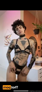 14210233