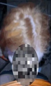 13701990