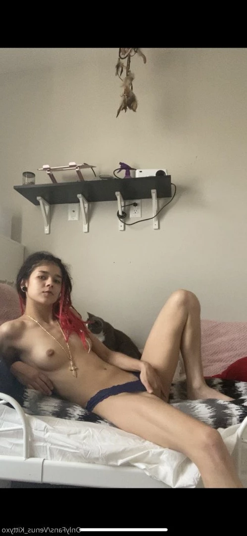 Venus Kittyxo [ venus_kittyxo ] Onlyfans leaked photo 2631731 on Hotleaks.tv