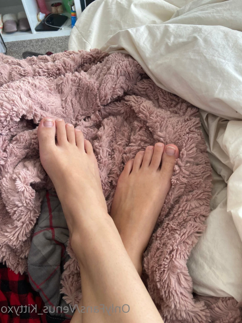 Venus Kittyxo [ venus_kittyxo ] Onlyfans leaked photo 11703192 on Hotleaks.tv