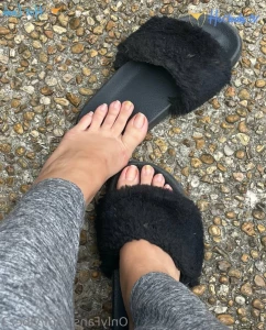 12738226