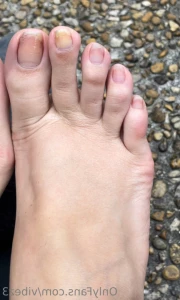 12738302