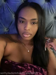 14097388