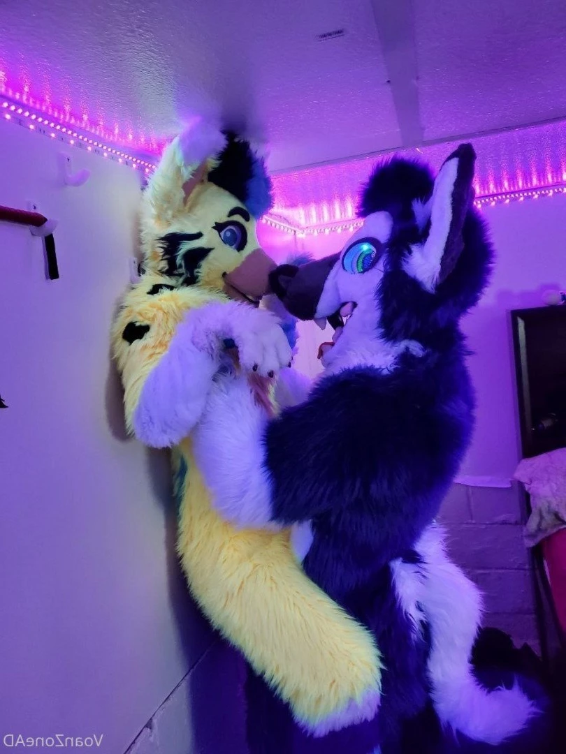 Naughty Folf💙 [ voan_zonead ] Onlyfans leaked photo 2598561 on Hotleaks.tv