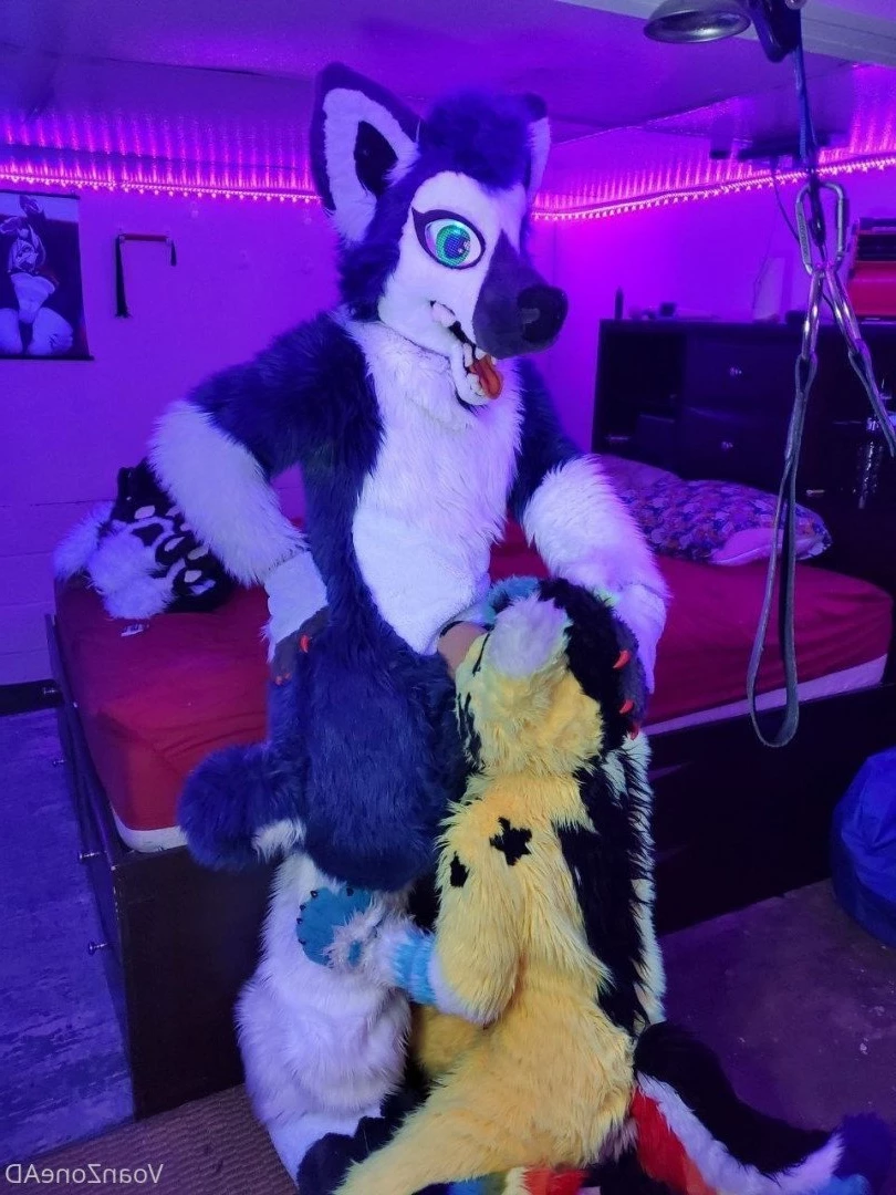 Naughty Folf💙 [ voan_zonead ] Onlyfans leaked photo 2598599 on Hotleaks.tv