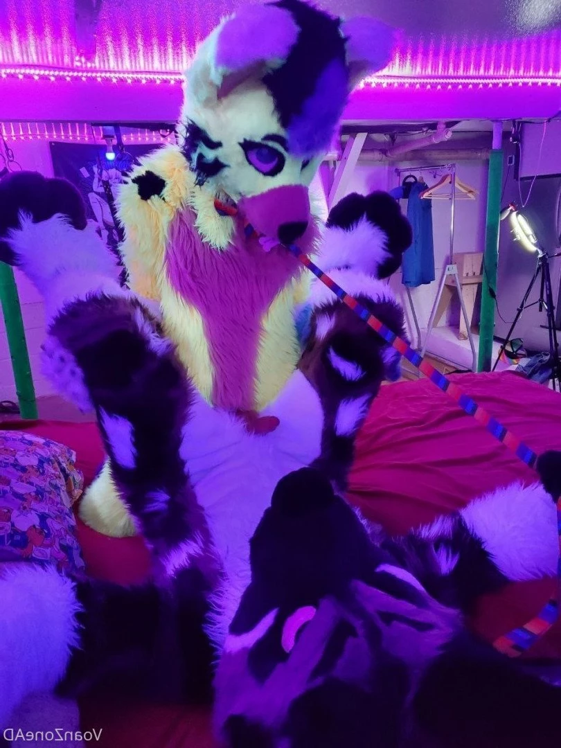 Naughty Folf💙 [ voan_zonead ] Onlyfans leaked photo 2598797 on Hotleaks.tv