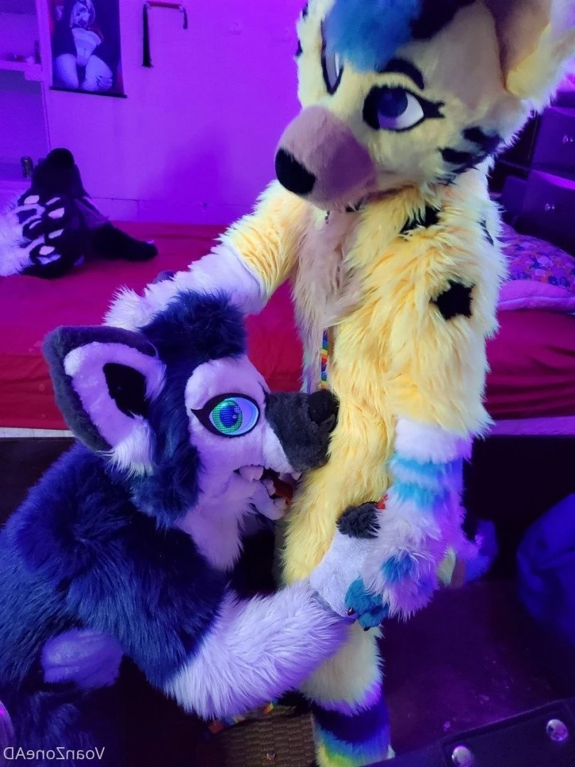 Naughty Folf💙 [ voan_zonead ] Onlyfans leaked photo 2598818 on Hotleaks.tv