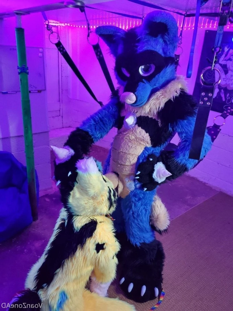 Naughty Folf💙 [ voan_zonead ] Onlyfans leaked photo 2598855 on Hotleaks.tv