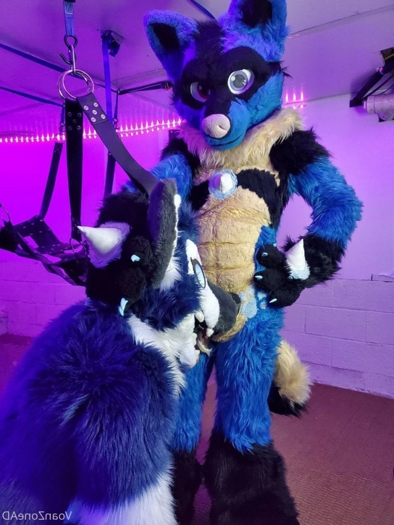 Naughty Folf💙 [ voan_zonead ] Onlyfans leaked photo 2598879 on Hotleaks.tv