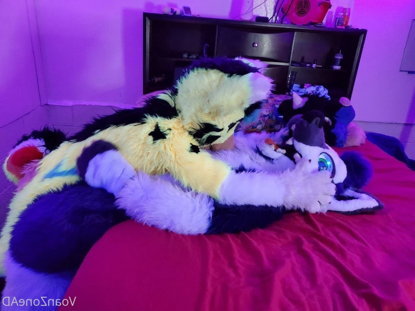 Naughty Folf💙 [ voan_zonead ] Onlyfans leaked photo 2598908 on Hotleaks.tv