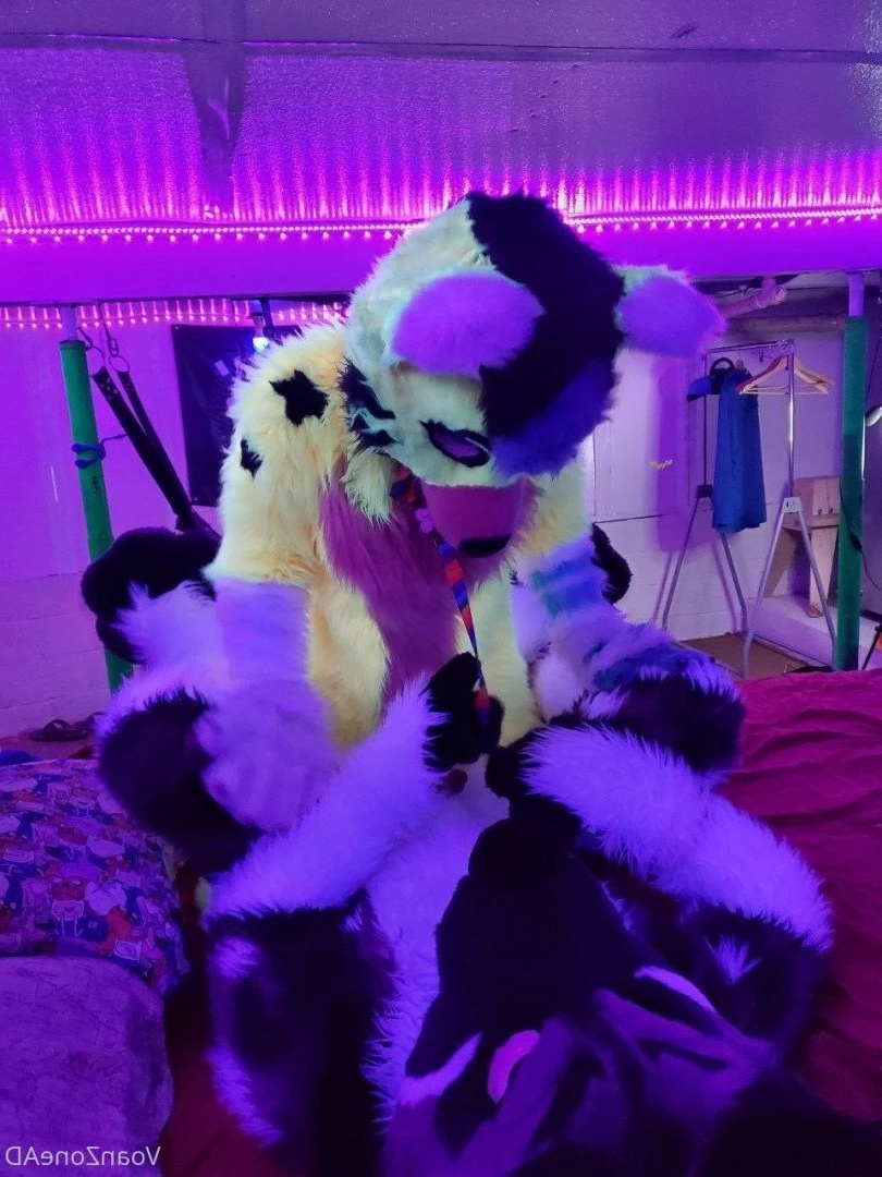 Naughty Folf💙 [ voan_zonead ] Onlyfans leaked photo 2598974 on Hotleaks.tv