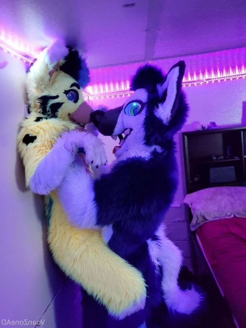 Naughty Folf💙 [ voan_zonead ] Onlyfans leaked photo 2599027 on Hotleaks.tv