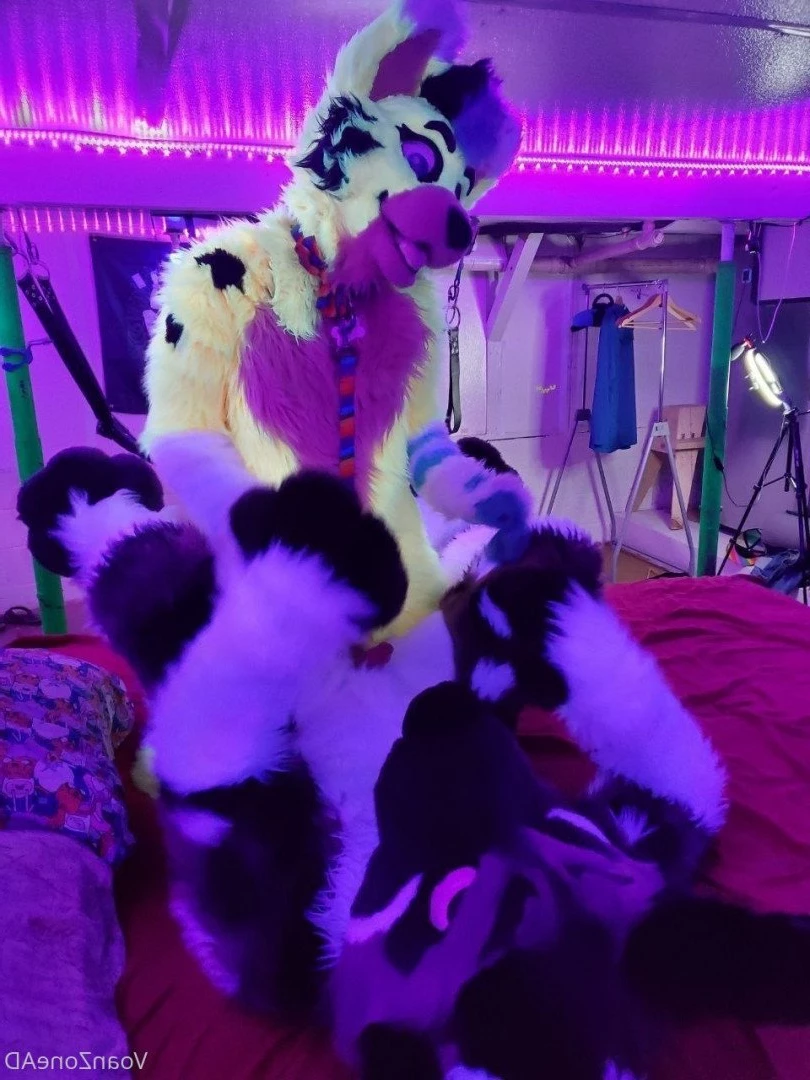 Naughty Folf💙 [ voan_zonead ] Onlyfans leaked photo 2599039 on Hotleaks.tv